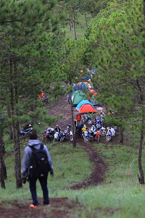 Có một Đà Lạt rất khác, khiến bạn phải ngỡ ngàng khi một lần được trải nghiệm cắm trại đêm và đón bình minh trên những ngọn đồi ở ven thành phố.