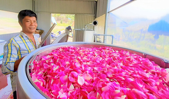 Anh Minh bên hệ thống chưng cất, chiết xuất tinh dầu hoa hồng - Ảnh: ĐỨC TÀI