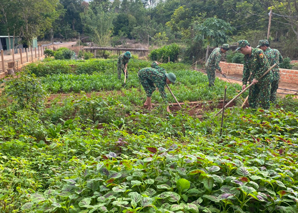 Đại úy Tuấn Anh (ngoài cùng bên phải) đang cùng cán bộ, chiến sĩ trong đơn vị tăng gia. Ảnh: A.H