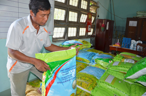 HTX Chư A Thai cung ứng lúa giống cho nông dân. Ảnh: Đ.P