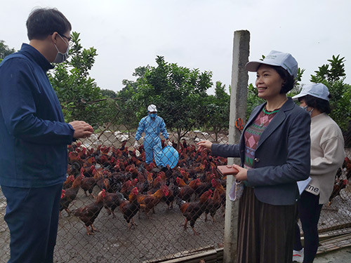 Chị Thanh đang giới thiệu về quy trình sản xuất và chế biến gà Thiên Thanh. Ảnh: Minh Ngọc Chị Thanh đang giới thiệu về quy trình sản xuất và chế biến gà Thiên Thanh. Ảnh: Minh Ngọc