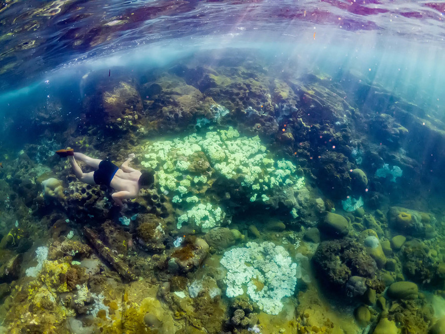 Du khách lặn biển ngắm san hô