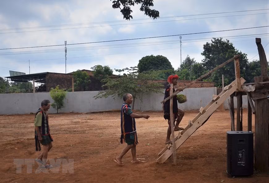 Hội đồng già làng bước lên nhà rông chuẩn bị cho lễ cúng cầu mưa. (Ảnh: Quang Thái/TTXVN)