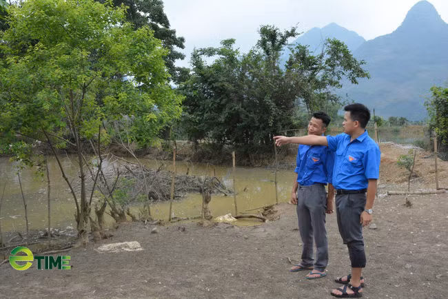 Ngoài nuôi vịt siêu trứng, hiện anh Linh còn phát triển mô hình nuôi cá lăng, cá tầm bước đầu mang lại hiệu quả.