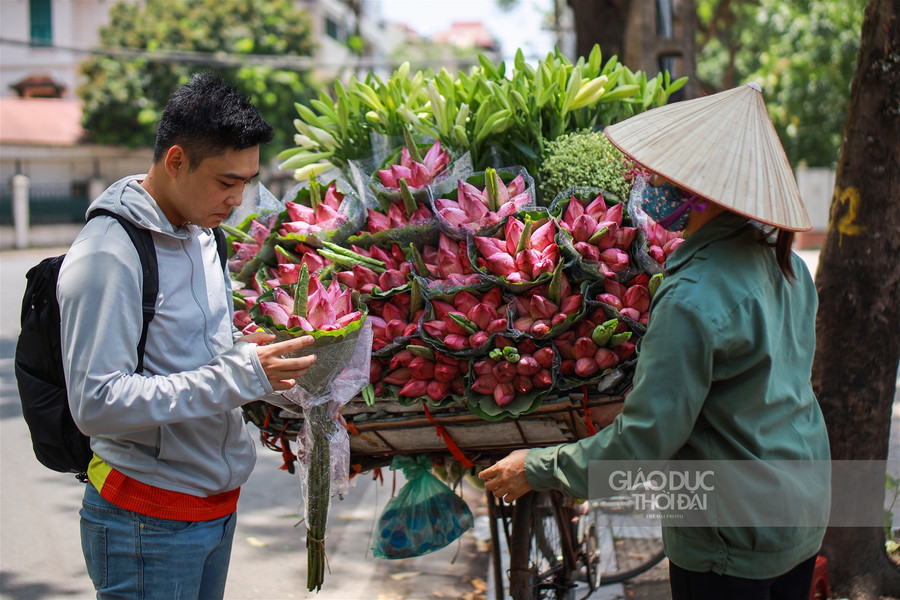  Rất nhiều bạn trẻ đã tìm mua những bó sen đầu mùa để tặng người thân trong gia đình mình.