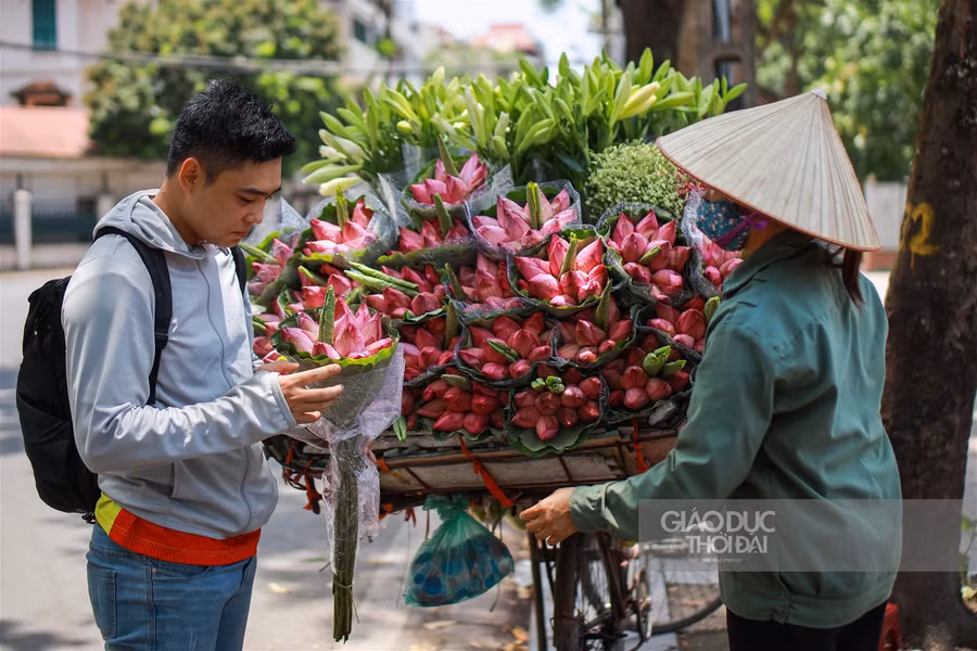  Rất nhiều bạn trẻ đã tìm mua những bó sen đầu mùa để tặng người thân trong gia đình mình.