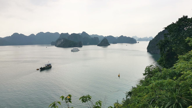 Một góc vịnh Hạ Long nhìn từ đảo Soi Sim ẢNH LÃ NGHĨA HIẾU