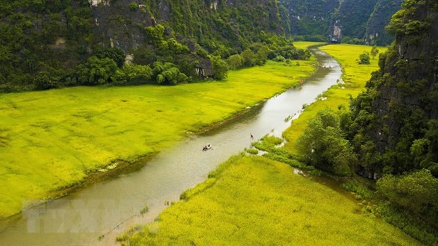 Tam Cốc mùa lúa chín. (Ảnh: Minh Đức/TTXVN)
