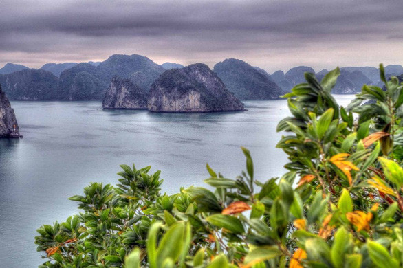 Vịnh Hạ Long nên thơ - Ảnh: Skift