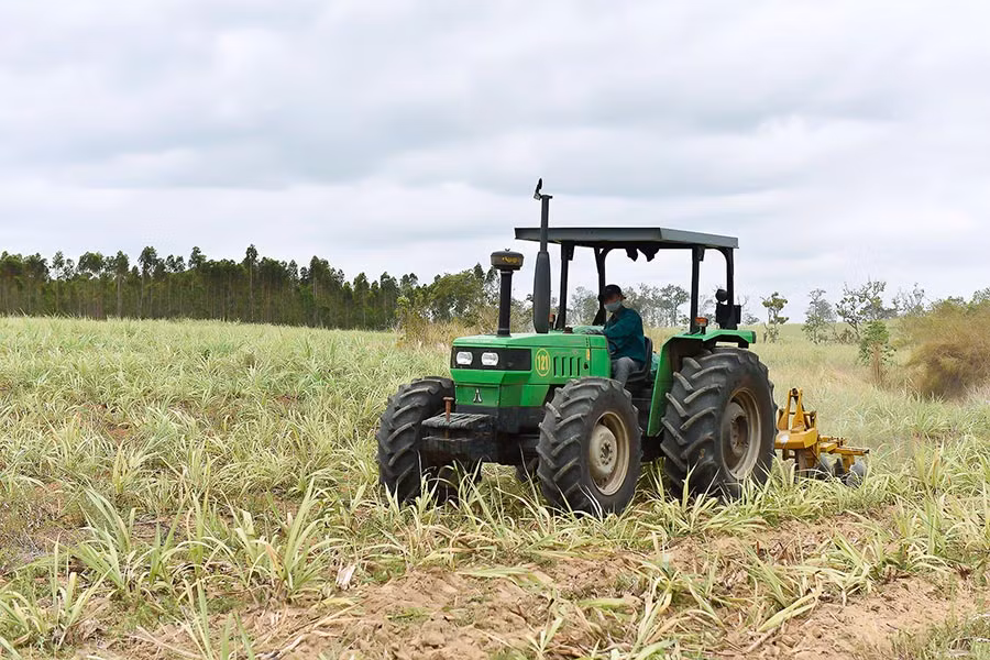 Hiện nay, 100% diện tích mía ở huyện Đak Pơ đã được áp dụng cơ giới hóa khâu làm đất. Ảnh: Đ.T