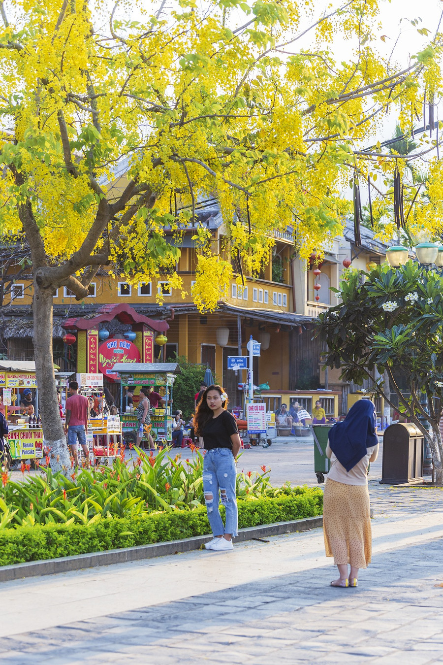 Du khách dừng chân chụp ảnh với hoa hoàng yến