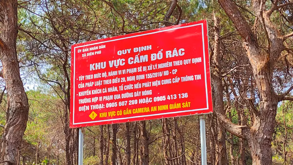  Biển cấm đổ rác được UBND xã Diên Phú (TP. Pleiku) cắm tại khu vực rừng thông ba lá. Ảnh: N.S