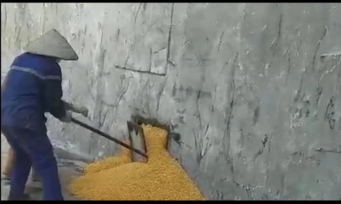 Vị trí được giấu bắp hạt trộm cắp