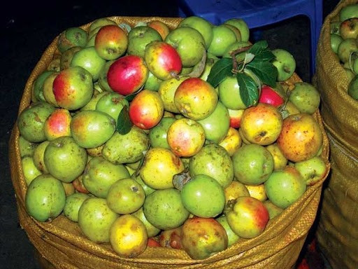 Ảnh: AFP. Ảnh: AFP.