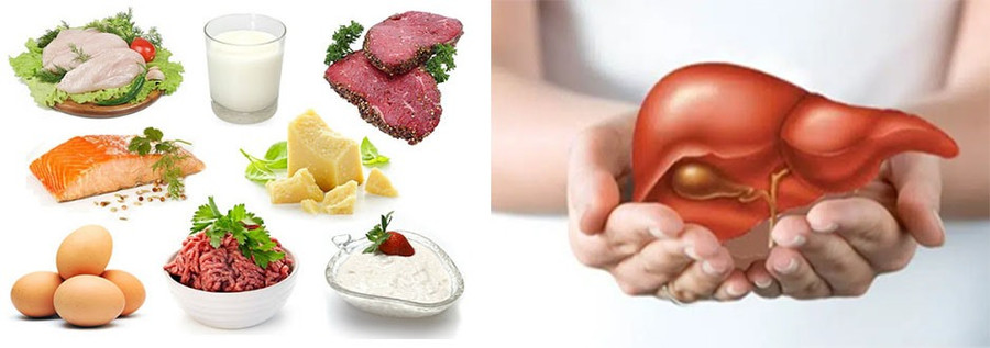 Đạm là thành phần không thể thiếu trong chế độ dinh dưỡng của người bị viêm gan. Đồ họa: Hồng Nhật Đạm là thành phần không thể thiếu trong chế độ dinh dưỡng của người bị viêm gan. Đồ họa: Hồng Nhật