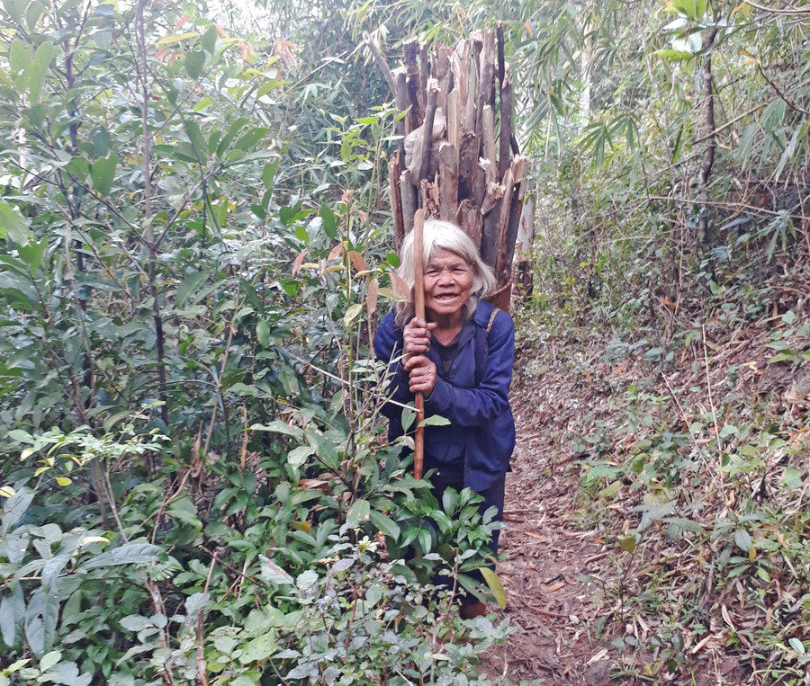  Bà Đinh Thị H’Ngon thường đến khu vực gần rẫy của ông Ngoai kiếm củi để được nghe tiếng đàn nước ngân nga. Ảnh: Phương Duyên