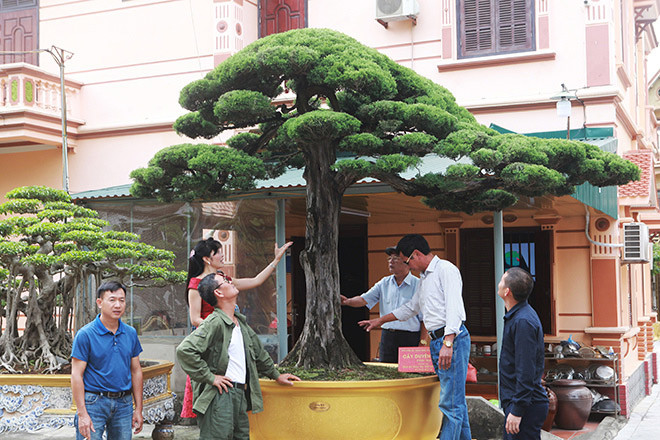  Tác phẩm duyên tùng được coi có dáng đẹp nhất Việt Nam được định giá 1 triệu USD