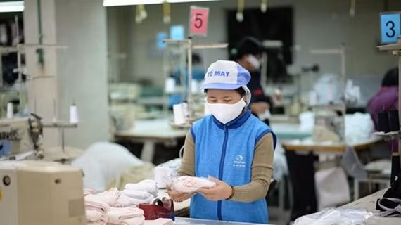 Doanh nghiệp dệt may sản xuất khẩu trang phục vụ thị trường. (Ảnh: Đức Duy/Vietnam+)