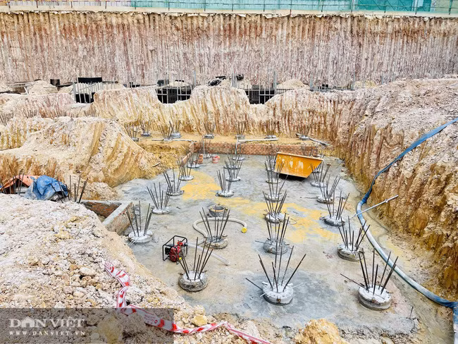 Những chiếc cọc bê tông cốt thép đóng sâu dưới lòng đất để chuẩn bị cho việc xây dựng hầm móng dự án. Ảnh: V.D