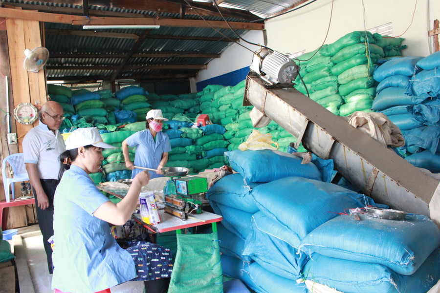 Một hợp tác xã công nghiệp trên địa bàn TP. Buôn Ma Thuột, tỉnh Đắk Lắk đã ngừng hoạt động (Ảnh tư liệu).