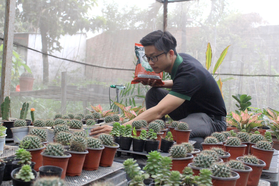 Đầu năm 2021, sau khi kết thúc chuyến công tác tìm thêm đại lý, khách hàng tại Hà Nội và các tỉnh phía Bắc; Nguyễn Hồng Đăng trở về và tất bật tại khu vực thực nghiệm đất sạch của mình. Khu đất này bên trong khuôn viên Trường ĐH Nông Lâm TP.HCM. Đăng cho biết: Năm 2021, đất trồng mang thương hiệu Namix của anh sẽ tiếp tục “chân trong, chân ngoài”. Nghĩa là vừa mở rộng thị trường trong nước, vừa kiếm thêm đối tác nước ngoài. Tháng 11 năm ngoái, Đăng đã xuất khẩu thành công 1 container 25 tấn đất trồng đầu tiên sang Singapore.  Đầu năm 2021, sau khi kết thúc chuyến công tác tìm thêm đại lý, khách hàng tại Hà Nội và các tỉnh phía Bắc; Nguyễn Hồng Đăng trở về và tất bật tại khu vực thực nghiệm đất sạch của mình. Khu đất này bên trong khuôn viên Trường ĐH Nông Lâm TP.HCM. Đăng cho biết: Năm 2021, đất trồng mang thương hiệu Namix của anh sẽ tiếp tục “chân trong, chân ngoài”. Nghĩa là vừa mở rộng thị trường trong nước, vừa kiếm thêm đối tác nước ngoài. Tháng 11 năm ngoái, Đăng đã xuất khẩu thành công 1 container 25 tấn đất trồng đầu tiên sang Singapore.