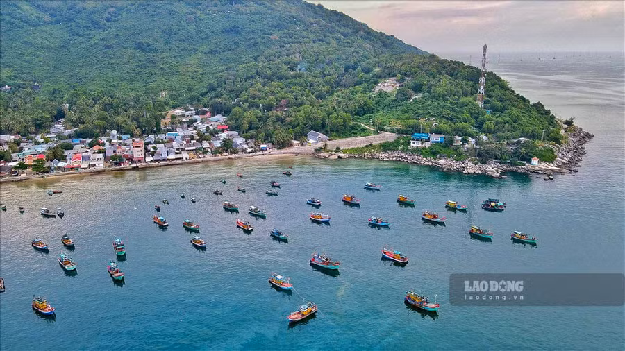 Dân cư trên đảo tập trung chủ yếu ở xóm chài và nông nghiệp chủ yếu là những vườn cây ăn trái, còn lại diện tích chiếm 80% là rừng nguyên sinh với ít cây cổ thụ, nhiều cây nhỏ và dây leo.