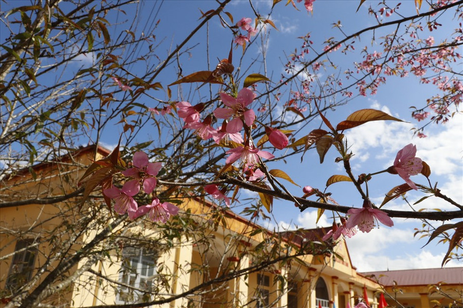 Hay những điểm trường vùng sâu, vùng xa của huyện.