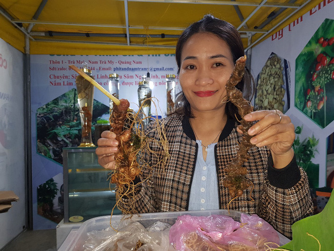 Củ của cây sâm Ngọc Linh được bày bán tại phiên chợ được tổ chức từ ngày 1 đến ngày 3 hàng tháng tại trung tâm huyện Nam Trà My