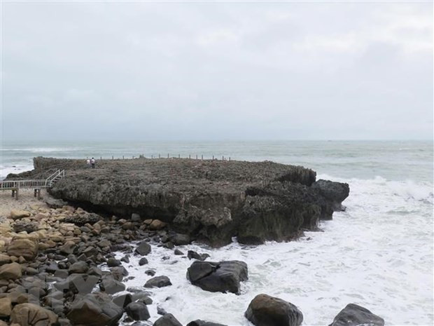 Bãi san hô cổ 18.000 năm tuổi. (Ảnh: Minh Hưng/TTXVN)