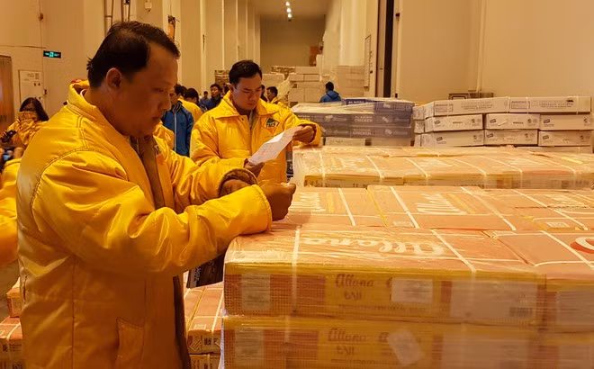  Kiểm tra ATTP ở một kho lạnh- ẢNH: DUY TÍNH