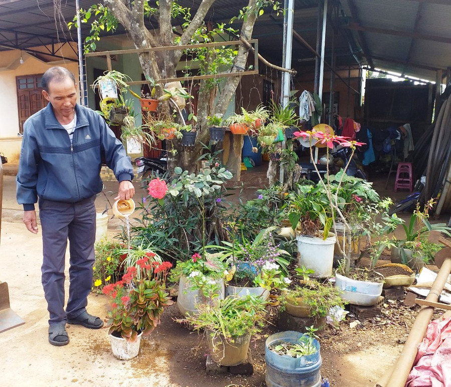 Ông Kpă Dó còn trồng hoa trong sân nhà để tạo sự tươi mới