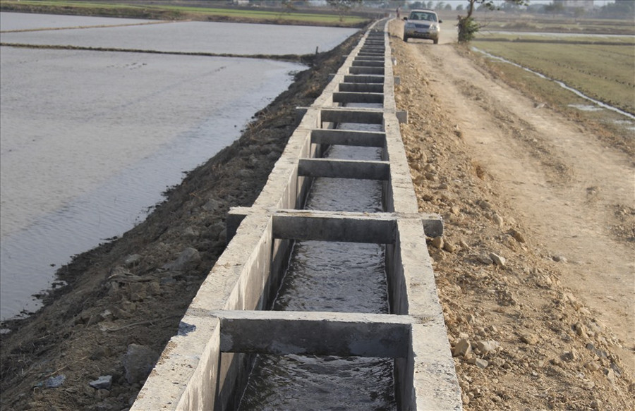 Nhà thầu đã lấy đất từ nền đường giao thông nội đồng để dắp vào hệ thống kênh mương thuỷ lợi. Ảnh: Bảo Lâm