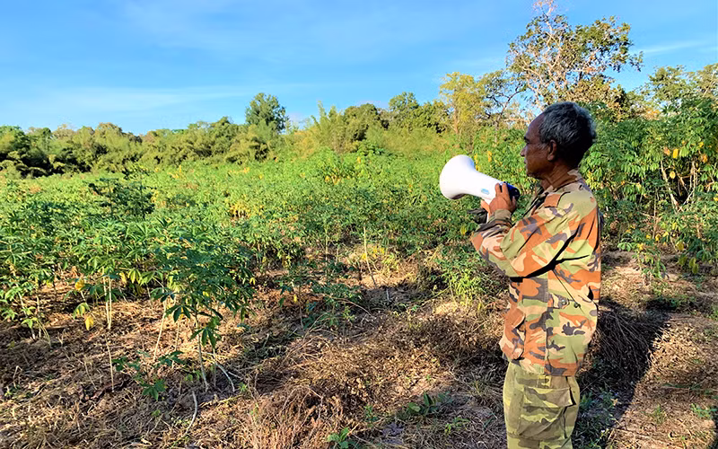 Để bảo vệ rẫy sắn, hàng đêm người dân buôn Đrăng Phốk, xã Krông Na, huyện Buôn sử dụng loa bật còi hú công suất lớn để xua đuổi voi rừng. 