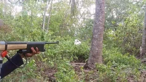 Ảnh minh họa. Ảnh minh họa.