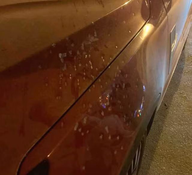  Vết đạn hoa cải găm trên xe ô tô của Dương Minh Tuyền. Ảnh: TL