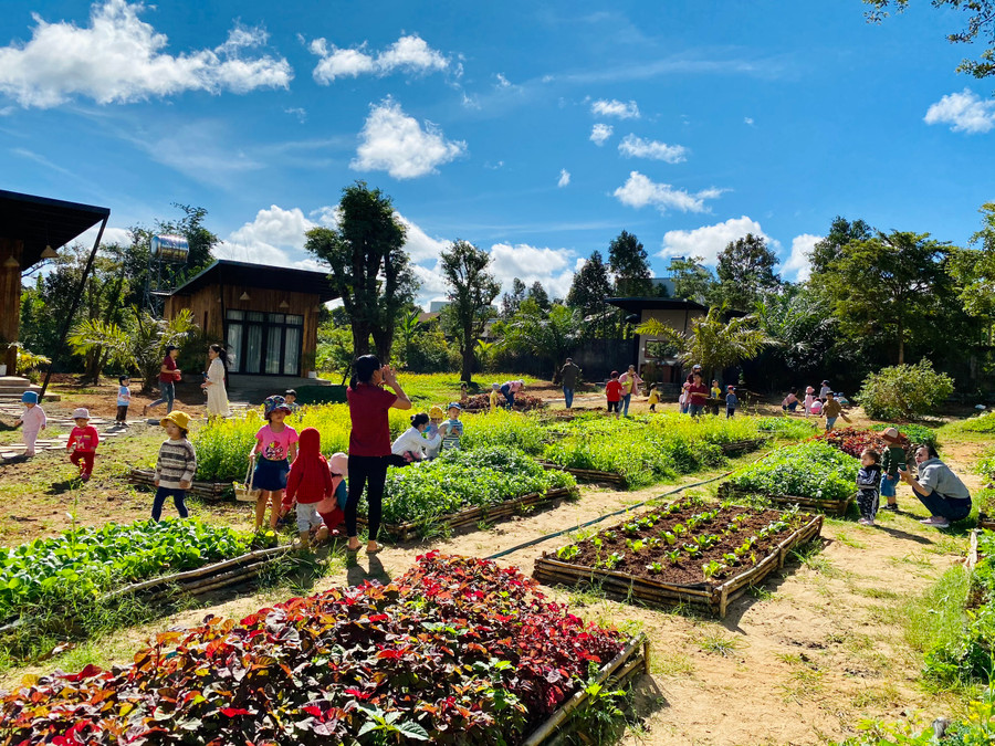Paksong Farmstay (343 Nơ Trang Long, phường Trà Bá, TP.Pleiku) đã đón tiếp hàng trăm lượt du khách tới vui chơi, trải nghiệm trong ngày nghỉ Tết Dương lịch. Ảnh Nguyễn Giang