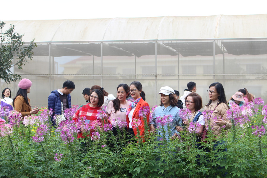 Nhiều du khách bị vườn hoa đang độ khoe sắc rực rỡ tại Công viên Đồng xanh thu hút. Ảnh Nguyễn Giang