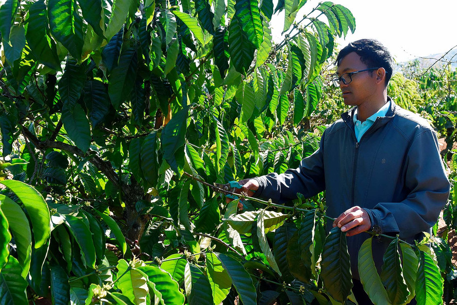 1.Đảng viên Rah Lan Mur tiên phong trong phát triển kinh tế, mang lại thu nhập ổn định mỗi năm gần 150 triệu đồng.