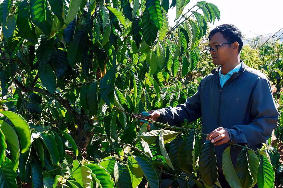 1.Đảng viên Rah Lan Mur tiên phong trong phát triển kinh tế, mang lại thu nhập ổn định mỗi năm gần 150 triệu đồng.