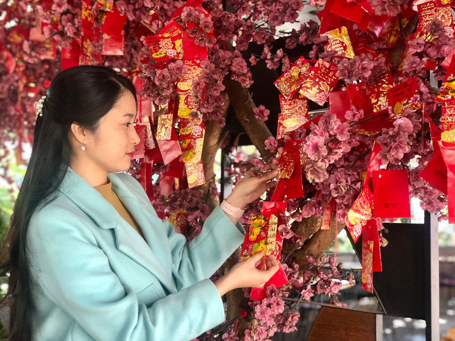 Ảnh 4 Phong bao lì xì đỏ được nhiều người chọn để trang trí trên cây đào, mai