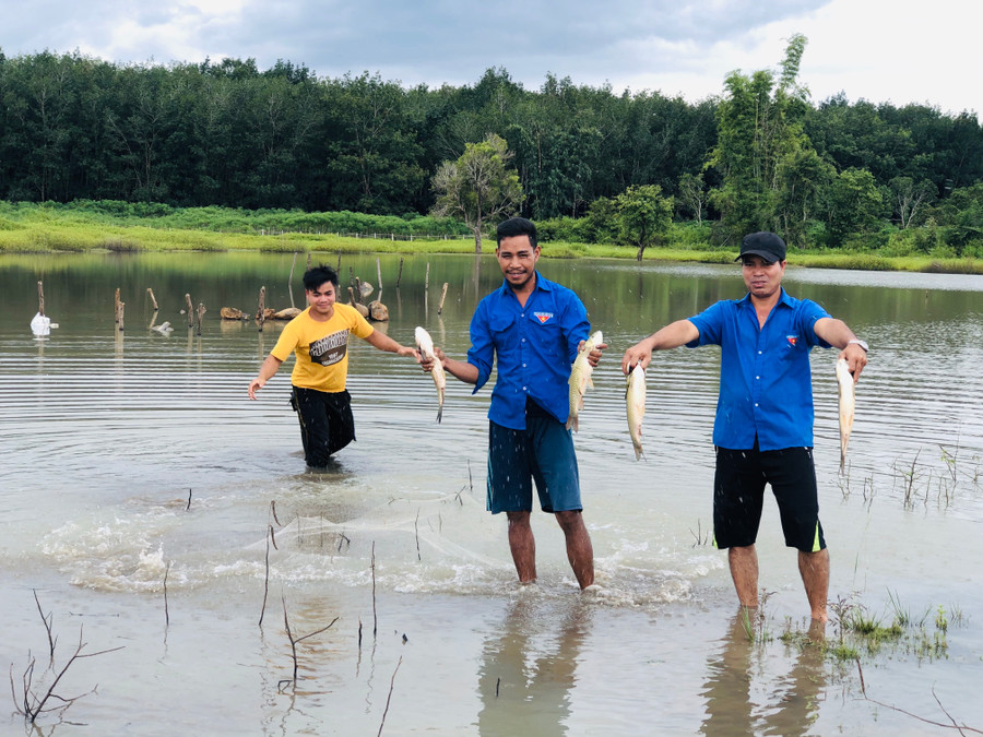 Đoàn viên, thanh niên làng Roih (xã Ia Phí, huyện Chư Păh) nuôi cá gây quỹ Đoàn. Ảnh: Phan Lài