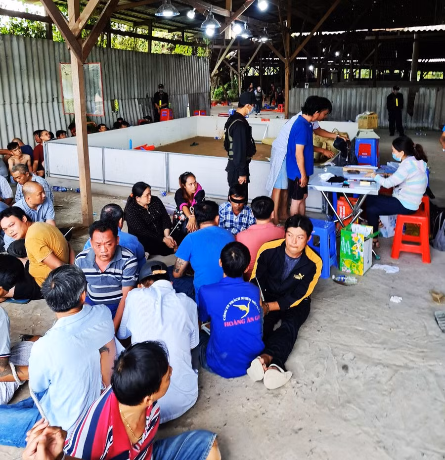  Các đối tượng bị công san bắt quả tang đánh bạc. Ảnh công an cung cấp
