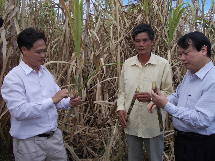  Quan tâm tìm các giải pháp hỗ trợ nông dân sản xuất và tiêu thụ sản phẩm. Ảnh: Thanh Nhật