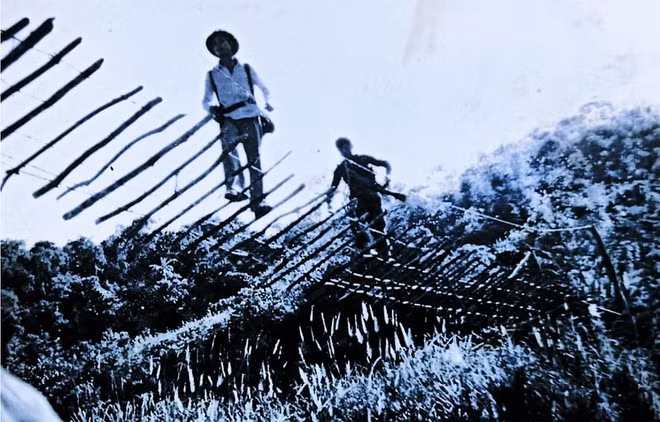 Cầu treo vào A Pa Chải, Sín Thầu năm 1983 ẢNH: QUANG ĐỆ