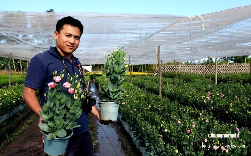 Anh Chương giới thiệu các chậu hoa. Anh Chương giới thiệu các chậu hoa.