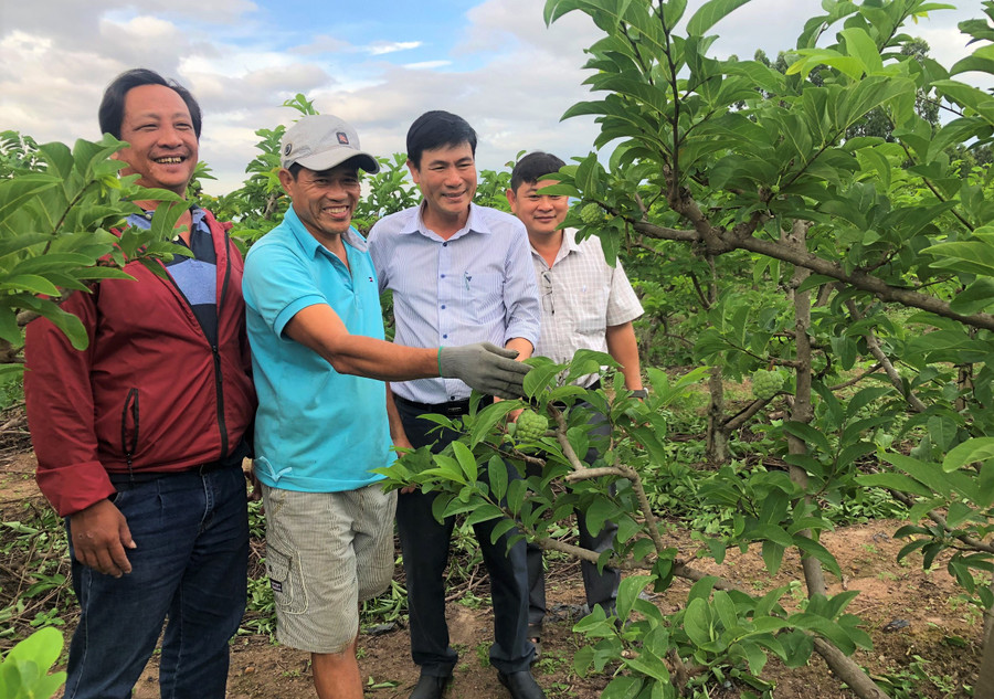 Cán bộ xã Ia Rtô (thị xã Ayun Pa) tham quan vườn na dai của ông Lê Viết Kỳ (thôn Đức Lập). Ảnh: Hà Tây Cán bộ xã Ia Rtô (thị xã Ayun Pa) tham quan vườn na dai của ông Lê Viết Kỳ (thôn Đức Lập). Ảnh: Ha2 Ta6y