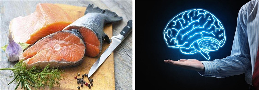 Bổ sung các loại cá béo giúp tăng cường trí nhớ hiệu quả. Đồ họa: Hồng Nhật