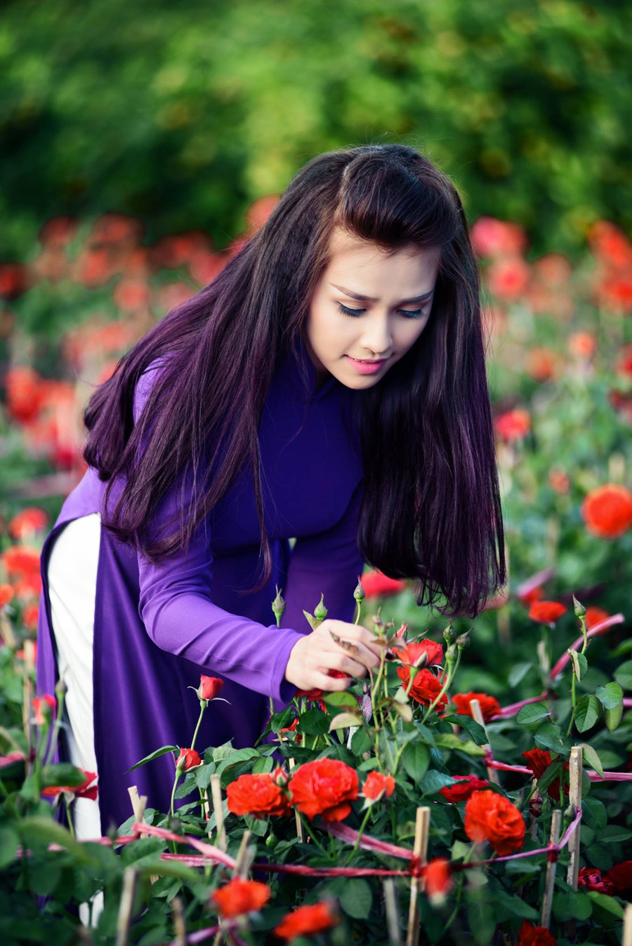 Ảnh minh họa: Thế Hiển