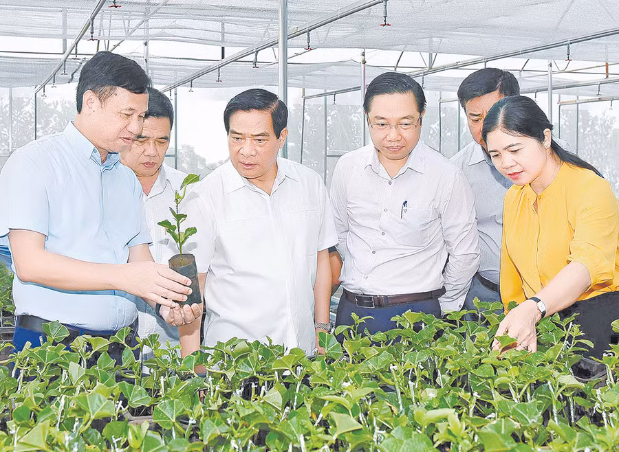 Đồng chí Hà Ngọc Chiến-Ủy viên Ban Chấp hành Trung ương Đảng, Ủy viên Ủy ban Thường vụ Quốc hội, Chủ tịch Hội đồng Dân tộc của Quốc hội (thứ 3 từ trái sang) tham quan vườn ươm chanh dây của Công ty cổ phần Thực phẩm xuất khẩu Đồng Giao tại xã Đak Djrăng (huyện Mang Yang). Ảnh: Ảnh: Đức Thụy