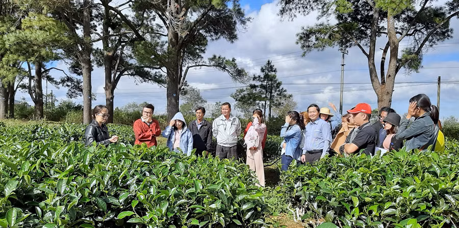 Đội ngũ hướng dẫn viên du lịch của tỉnh thể hiện nghiệp vụ hướng dẫn trong chuyến thực tế tại các điểm du lịch (2)